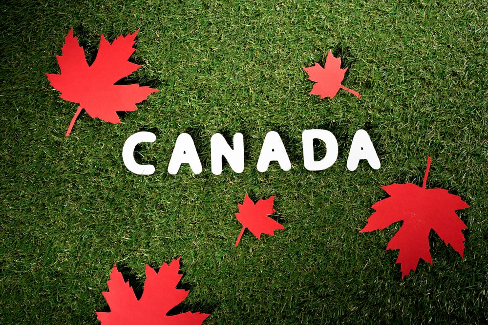 Слово canada на белом фоне. Канада слово. Рассказ о канаде. Слово канады какой. Девушка с флагом канады.